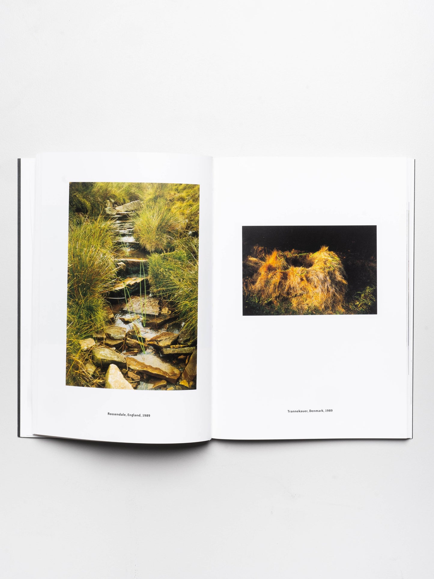 Ground/Work: The Art of Pauline Rhodes | 2002