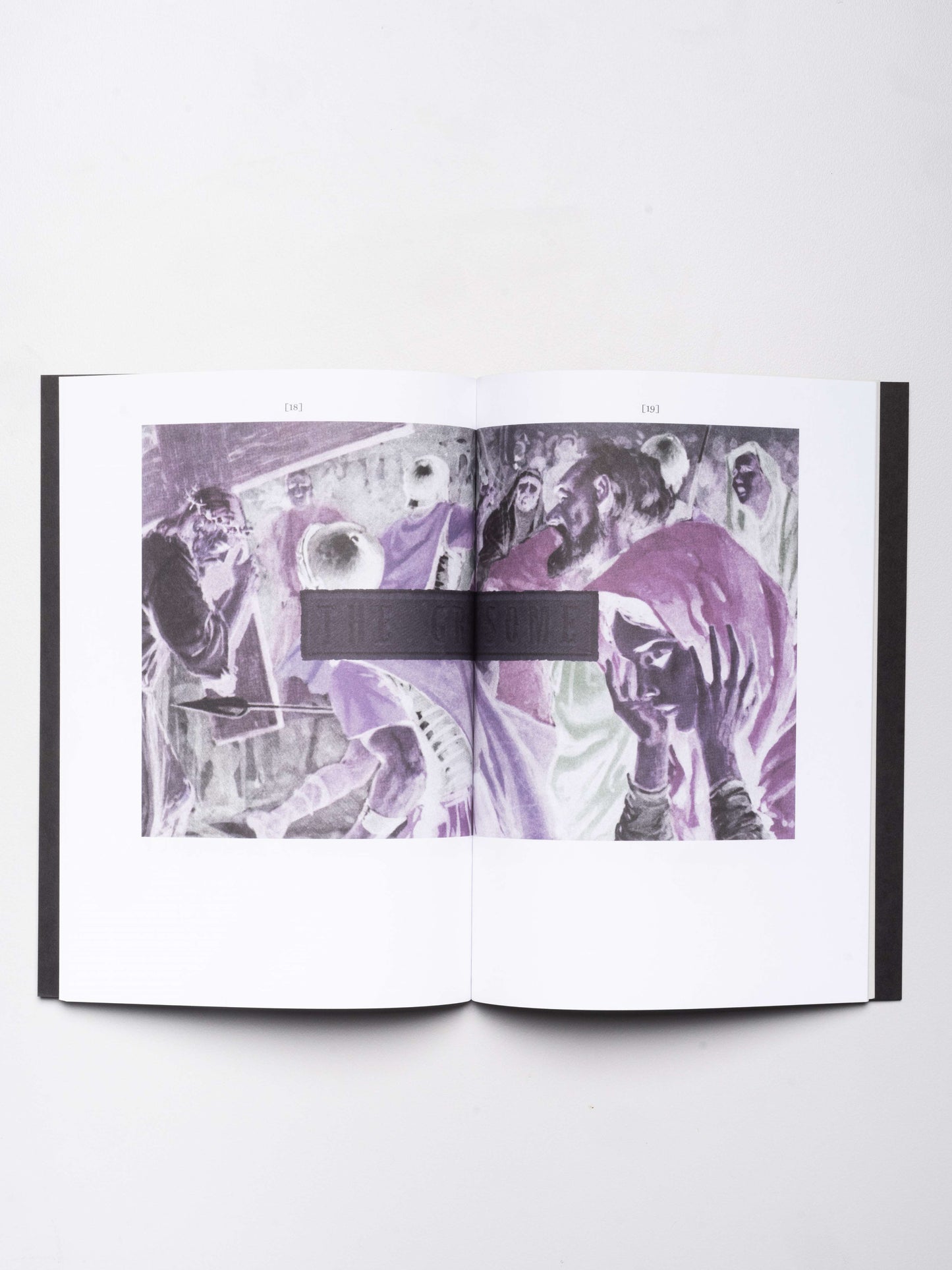 Gavin Hipkins: Bible Studies (New Testament) | 2009