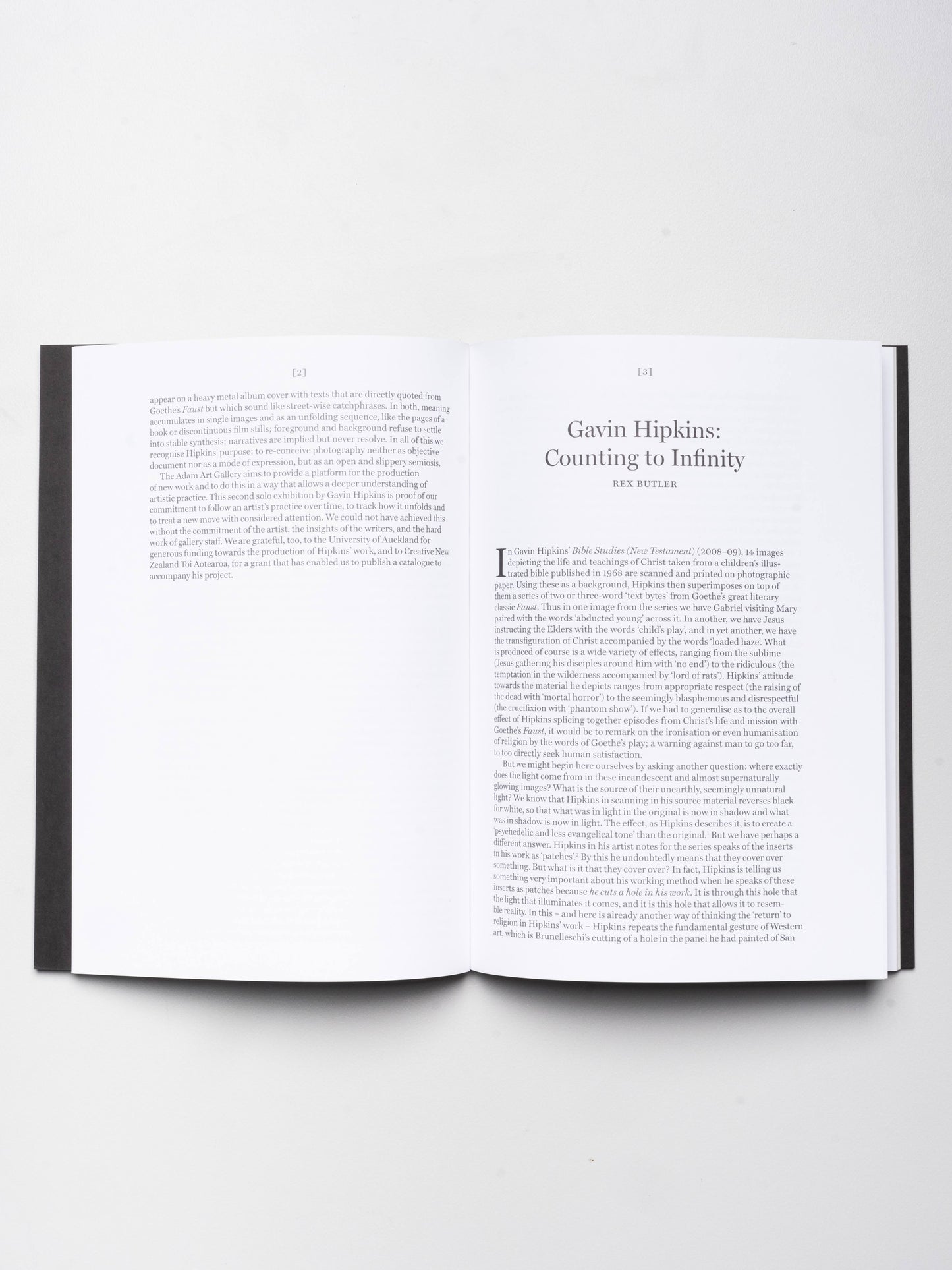 Gavin Hipkins: Bible Studies (New Testament) | 2009