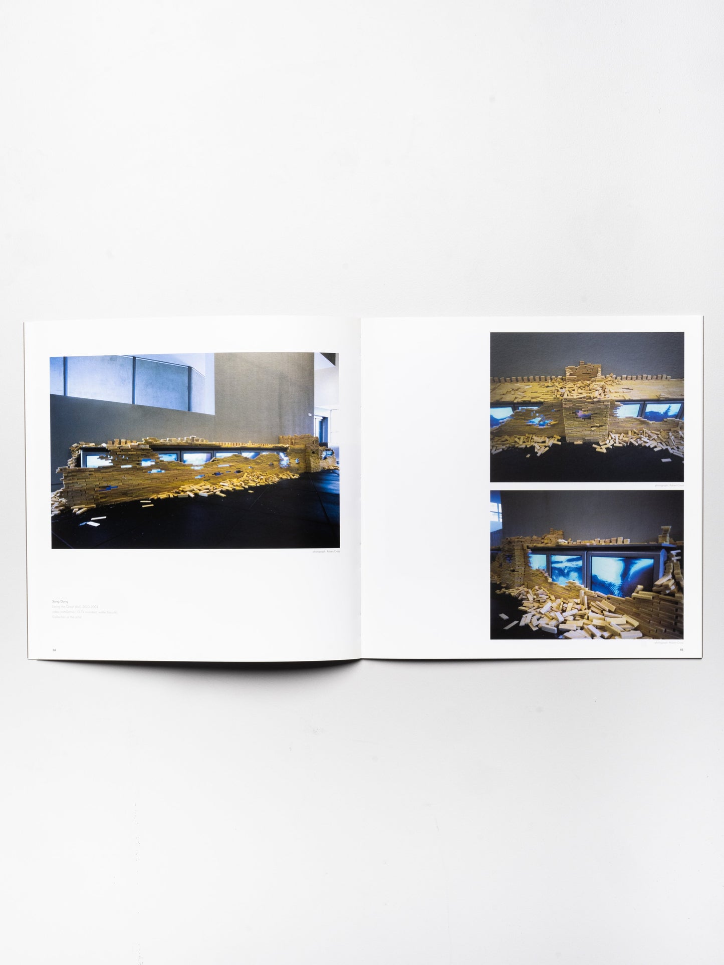 Concrete Horizons: Contemporary Art from China | 2004