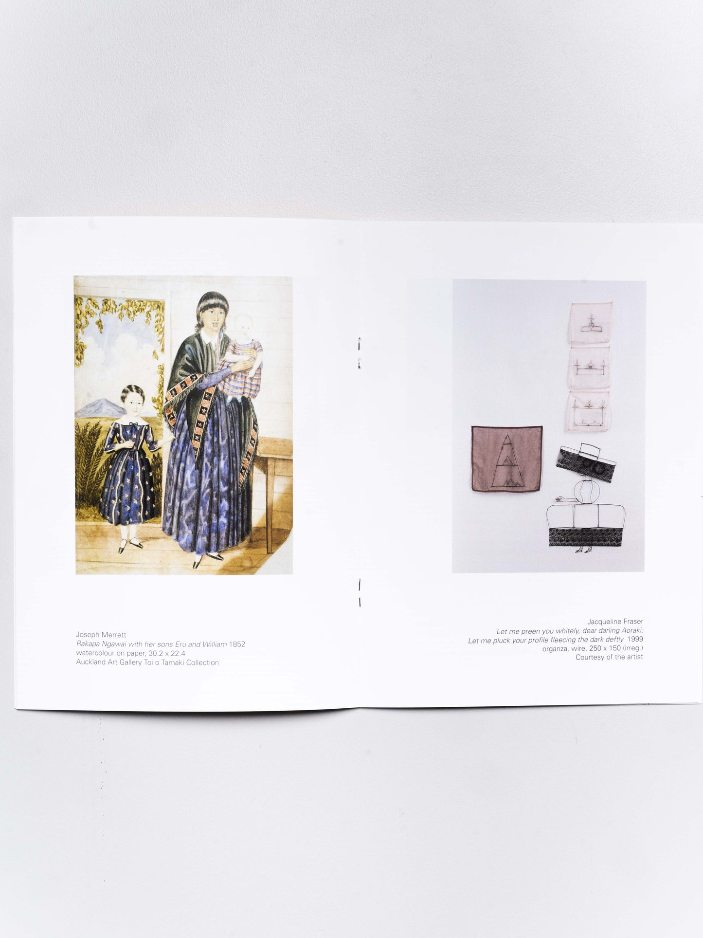 Manufacturing Meaning | Jacqueline Fahey: The Birthday Party | 1999