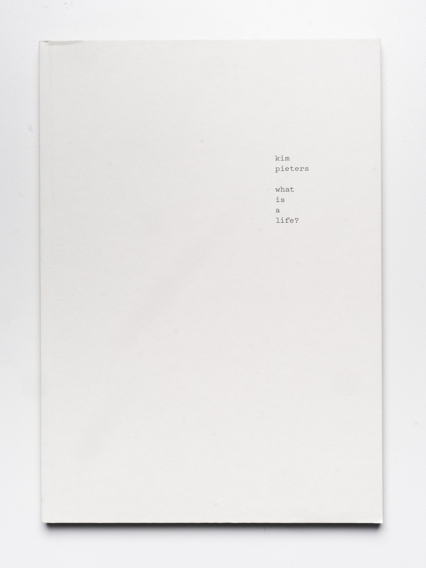 Kim Pieters: what is a life? | 2015