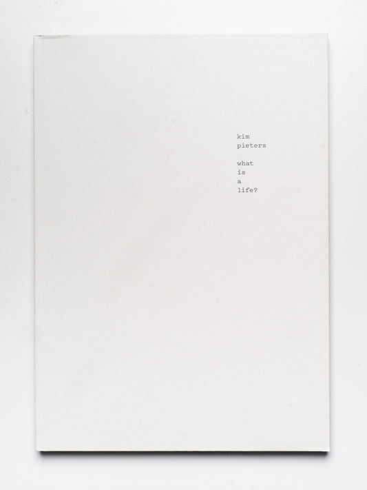 Kim Pieters: what is a life? | 2015