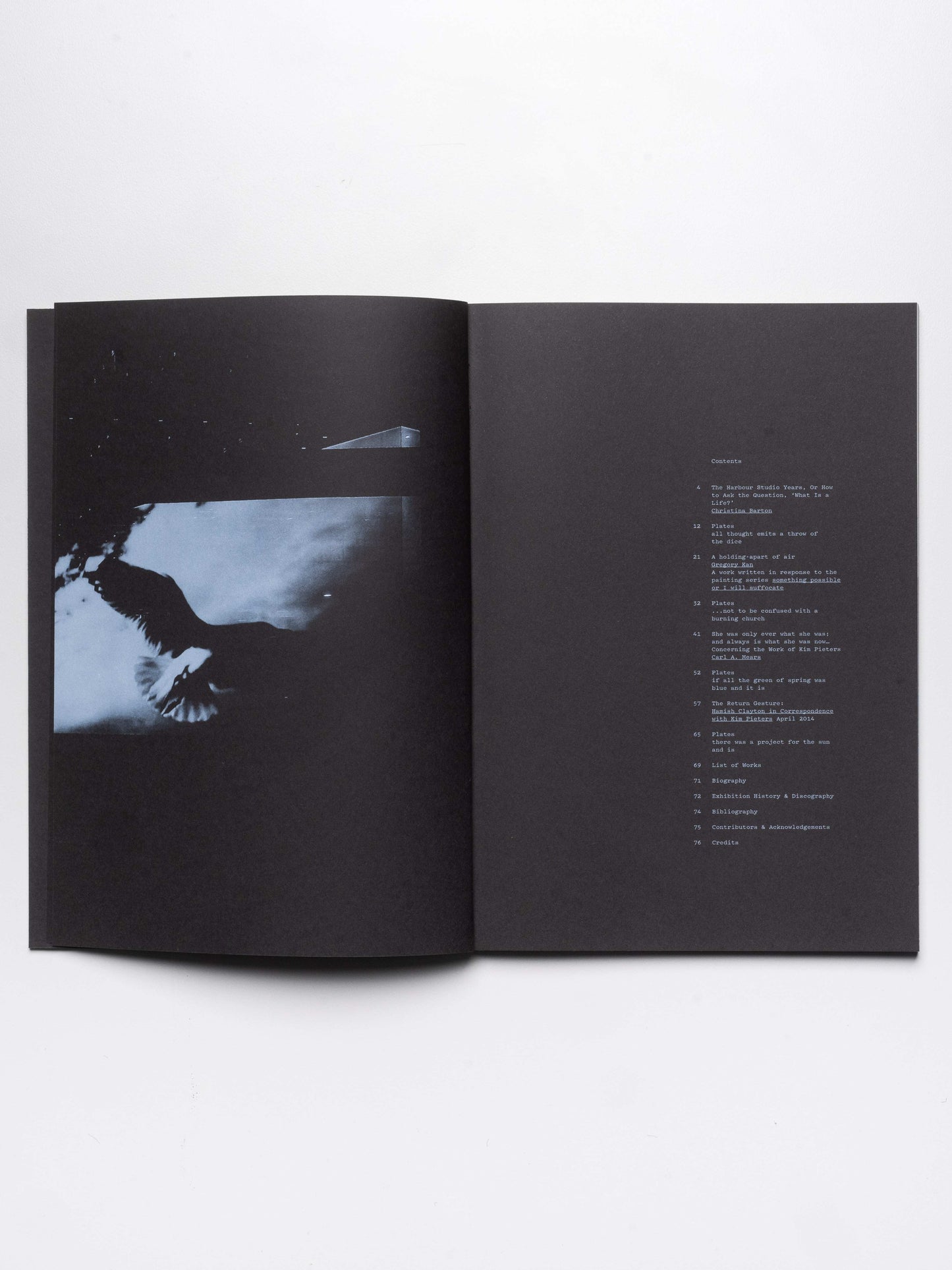 Kim Pieters: what is a life? | 2015