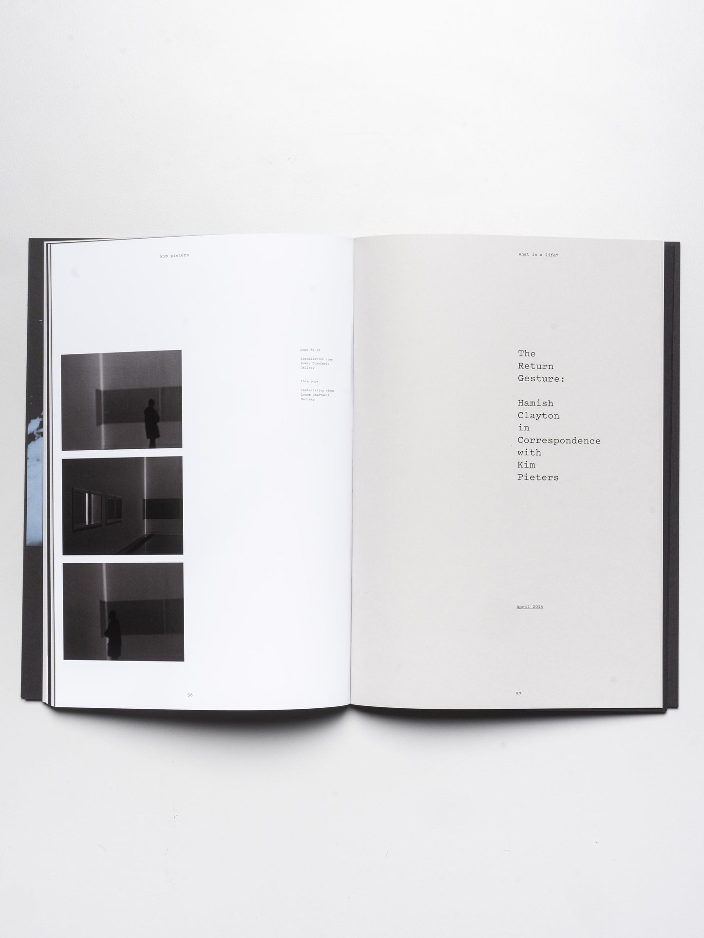 Kim Pieters: what is a life? | 2015