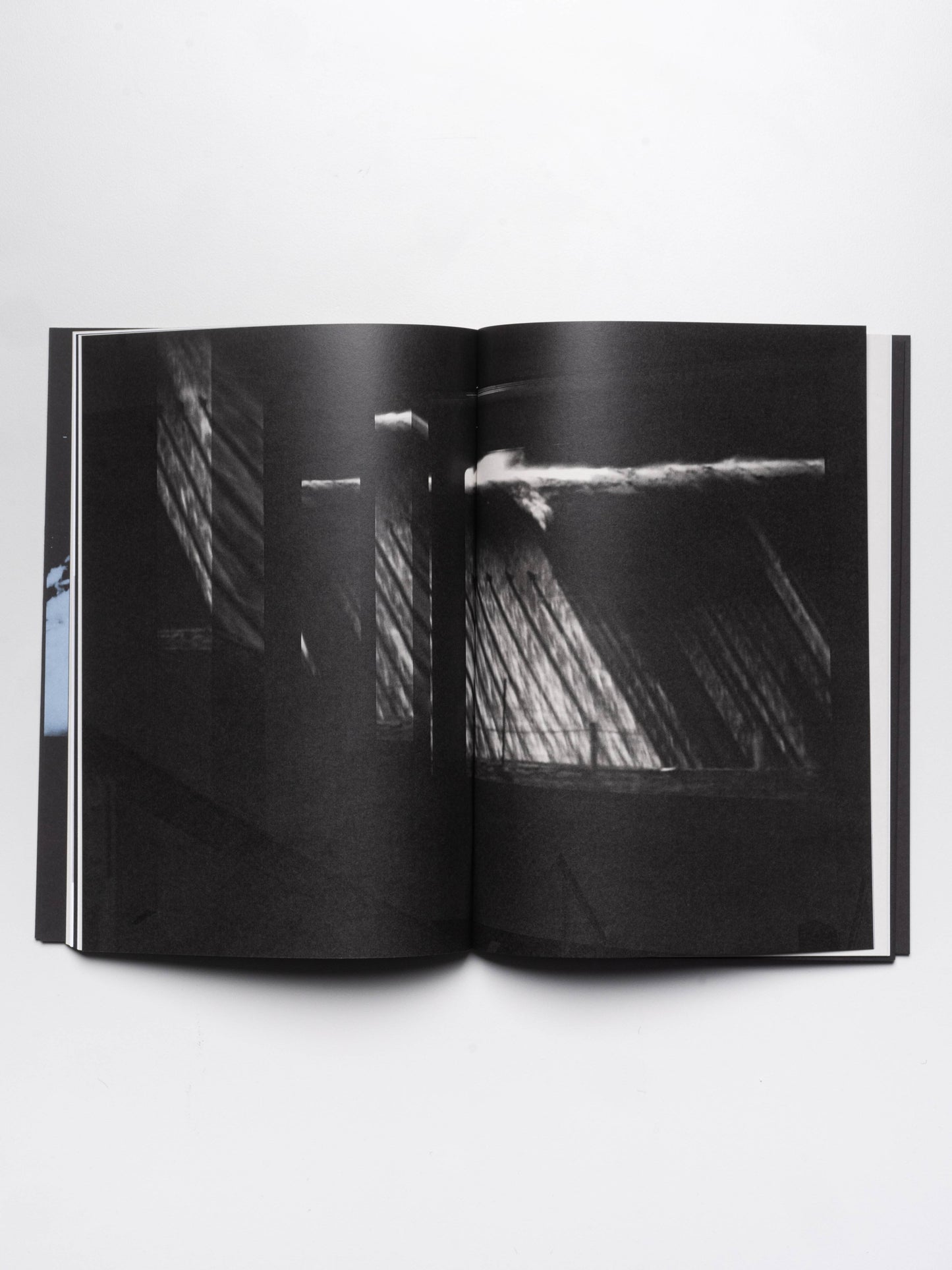 Kim Pieters: what is a life? | 2015