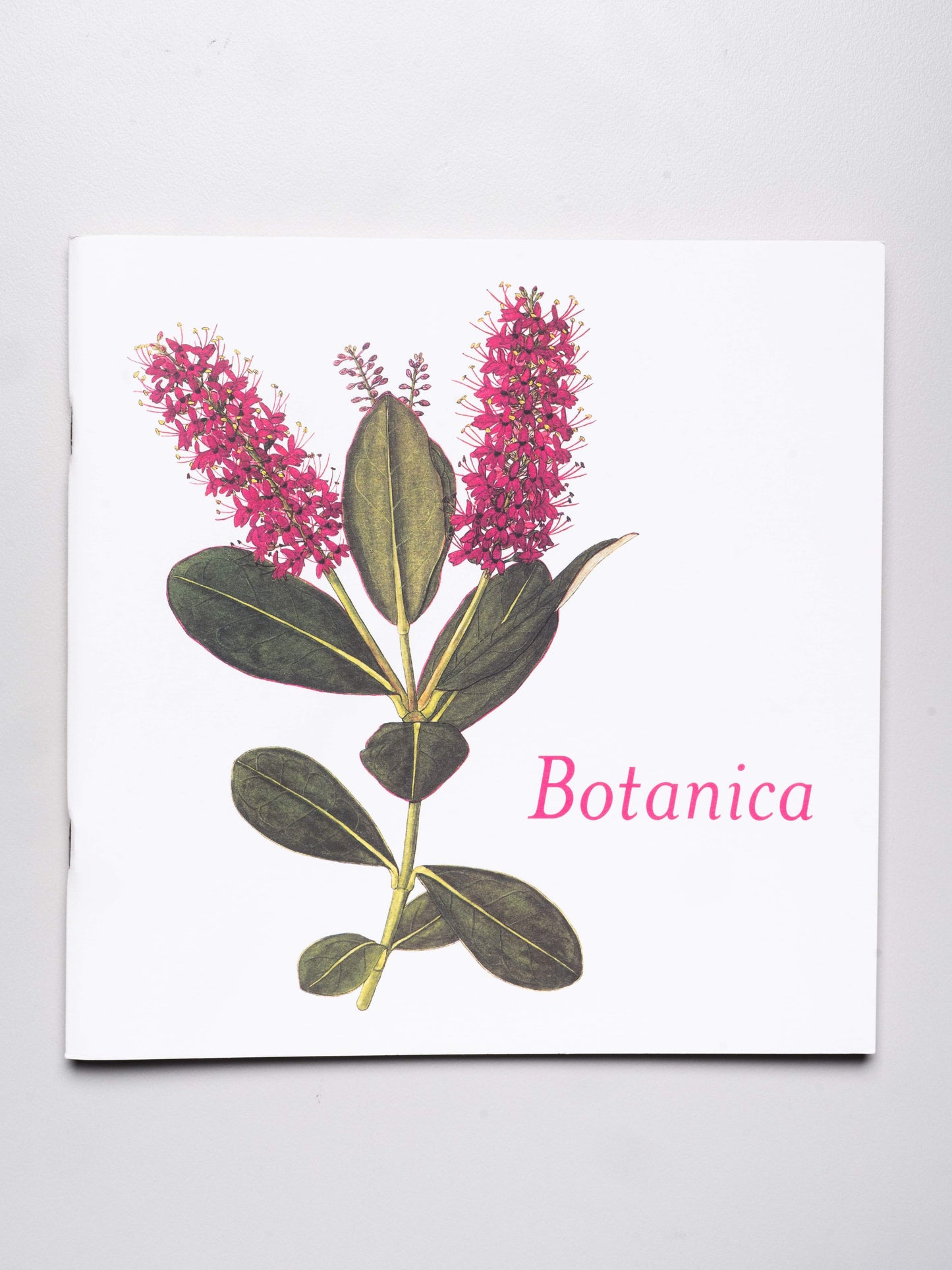 Botanica | 2001
