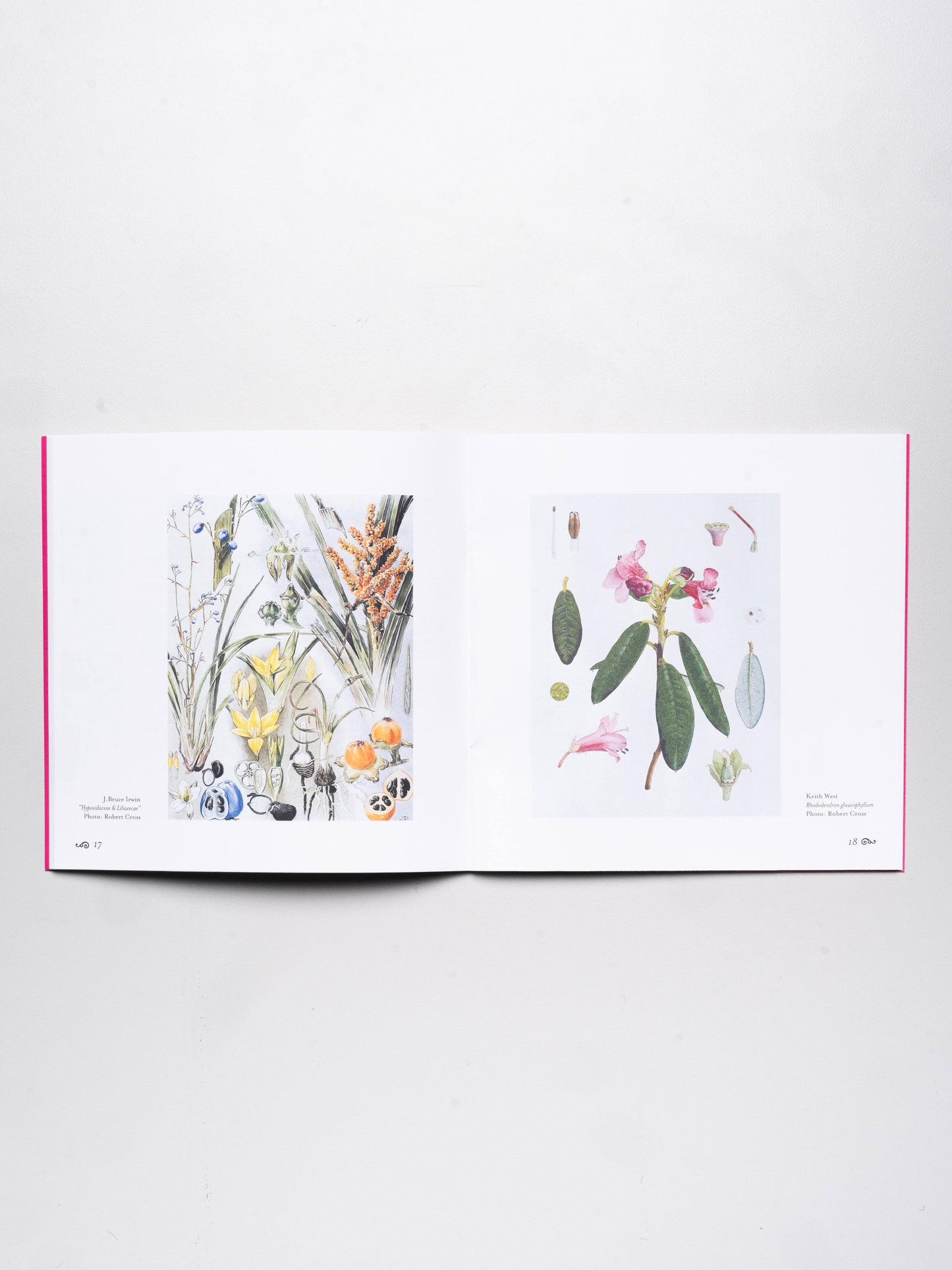 Botanica | 2001