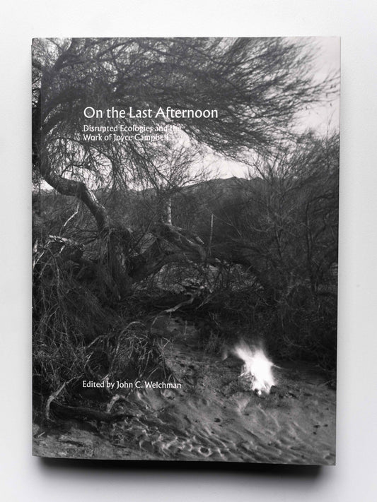 On the Last Afternoon: Disrupted Ecologies and the Work of Joyce Campbell | 2019