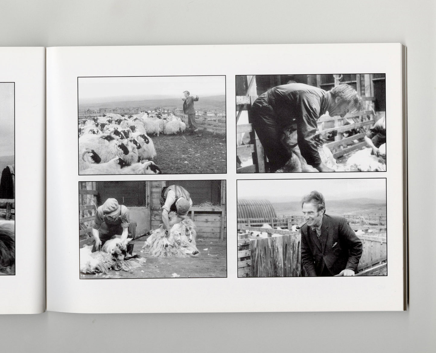 Video Art: Darcy Lange | 2001