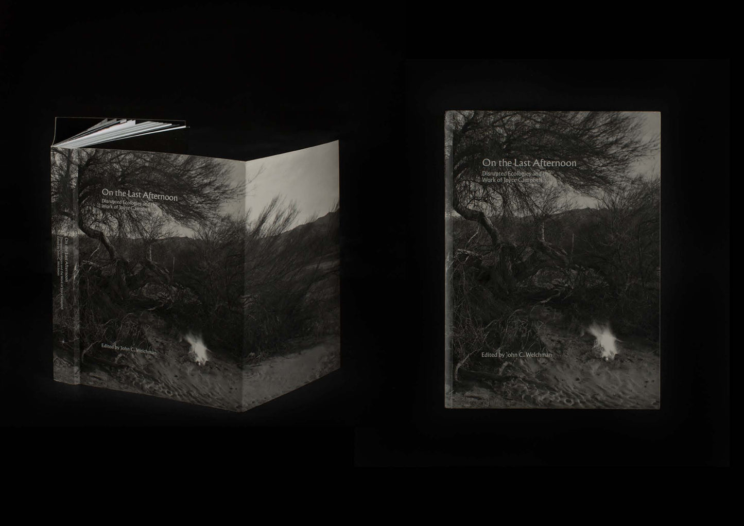 On the Last Afternoon: Disrupted Ecologies and the Work of Joyce Campbell | 2019