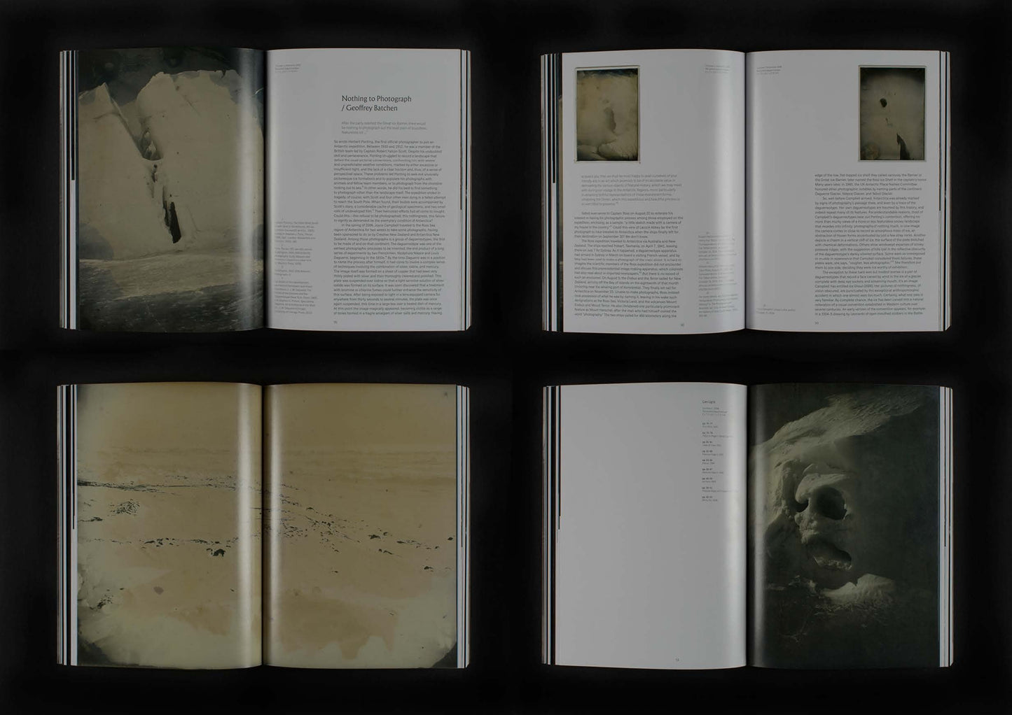 On the Last Afternoon: Disrupted Ecologies and the Work of Joyce Campbell | 2019