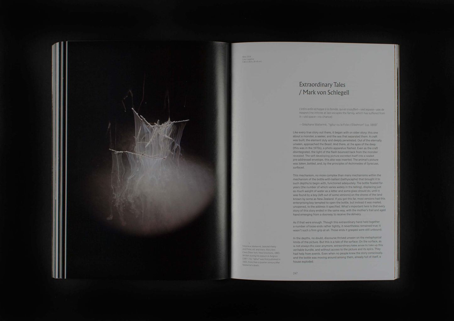 On the Last Afternoon: Disrupted Ecologies and the Work of Joyce Campbell | 2019