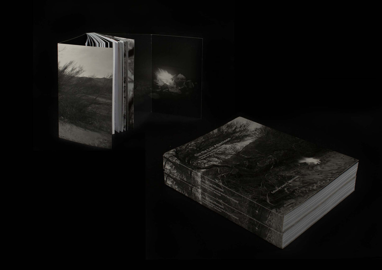 On the Last Afternoon: Disrupted Ecologies and the Work of Joyce Campbell | 2019