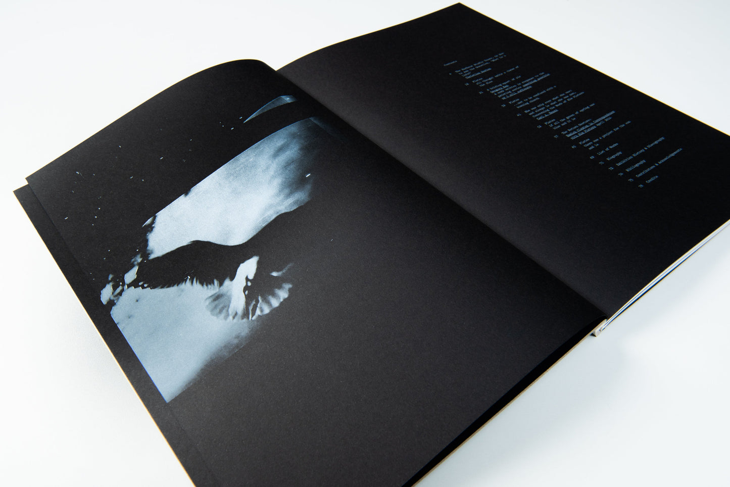 Kim Pieters: what is a life? | 2015
