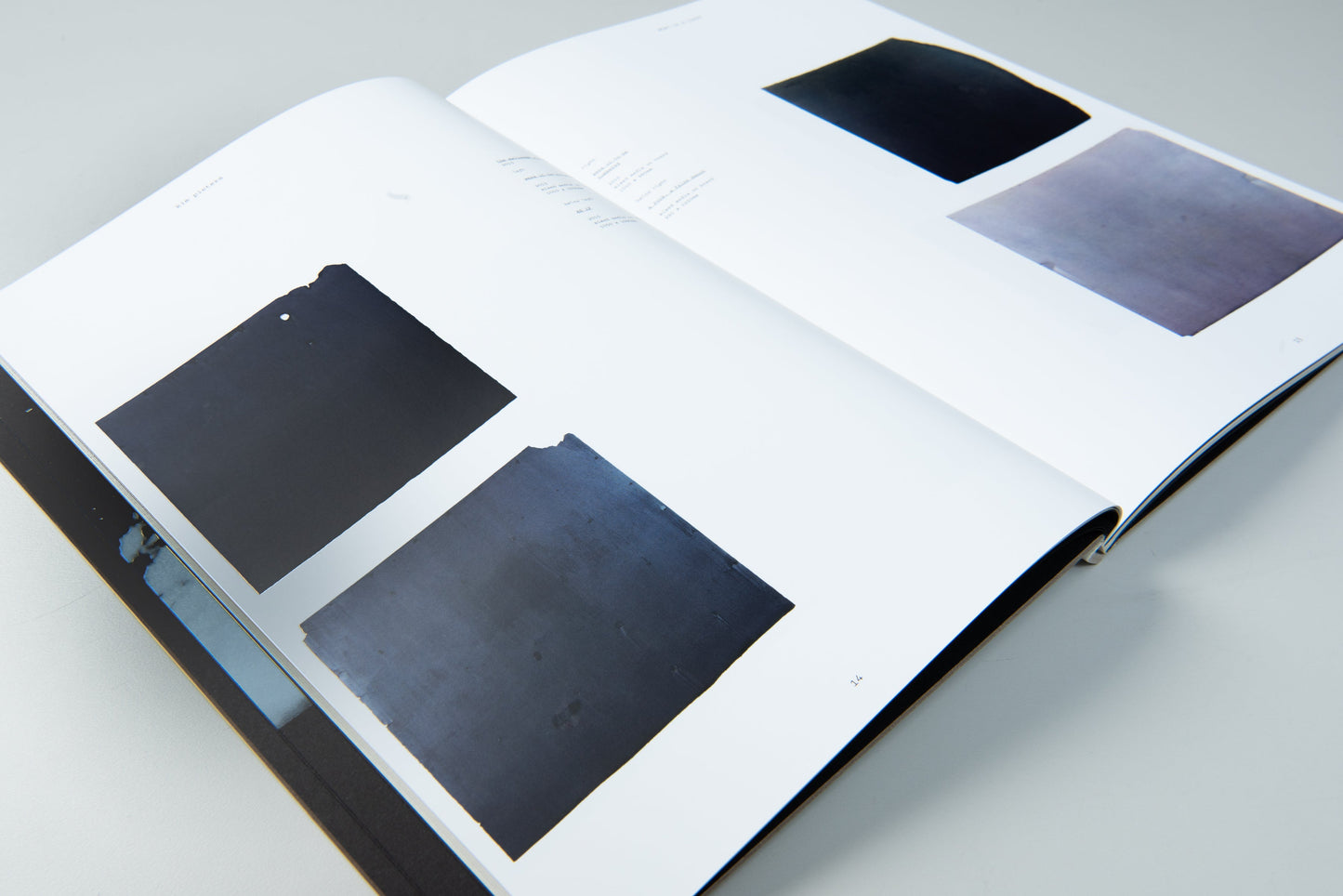 Kim Pieters: what is a life? | 2015