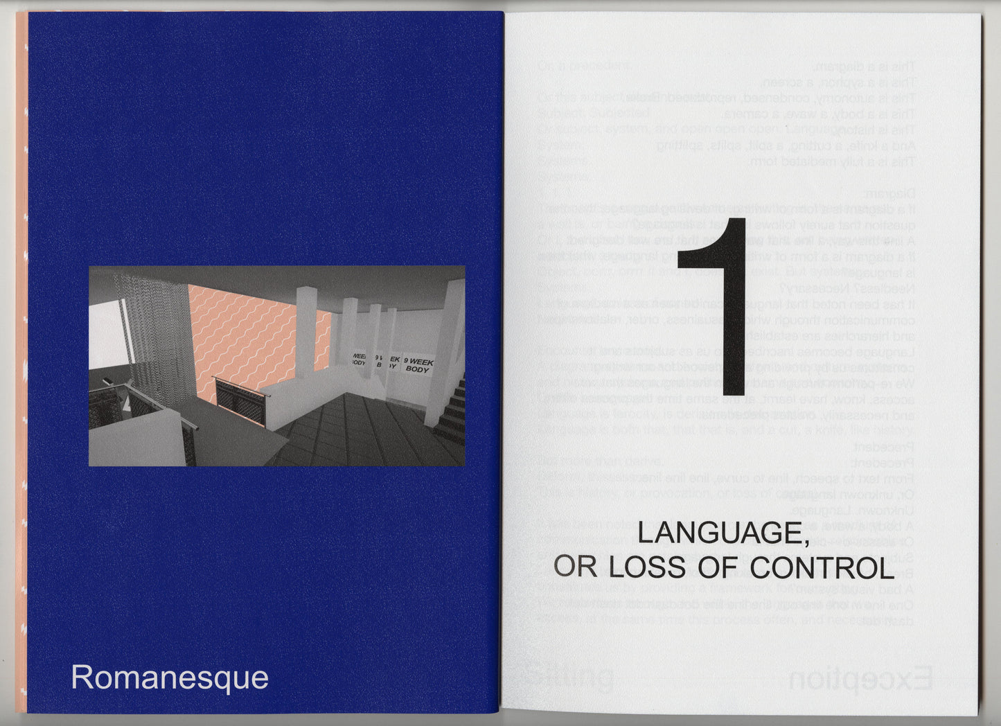 BAD VISUAL SYSTEMS: Ruth Buchanan, Judith Hopf, Marianne Wex | 2017